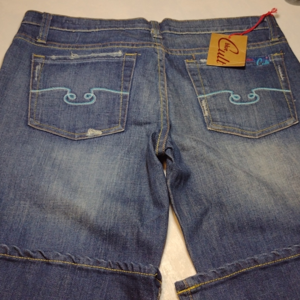 Blue Cult new Jean women size 30 Flare Leg
